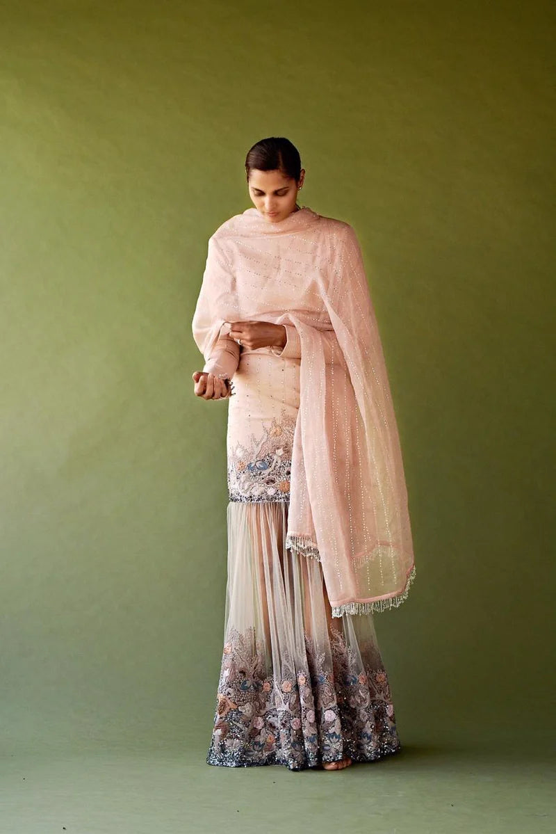 Blush pink pewter hand-embellished maxi dress with sheer dupatta and layered skirt