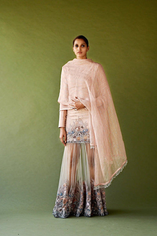 Blush pink embellished maxi with delicate dupatta, embroidered hem and soft drape